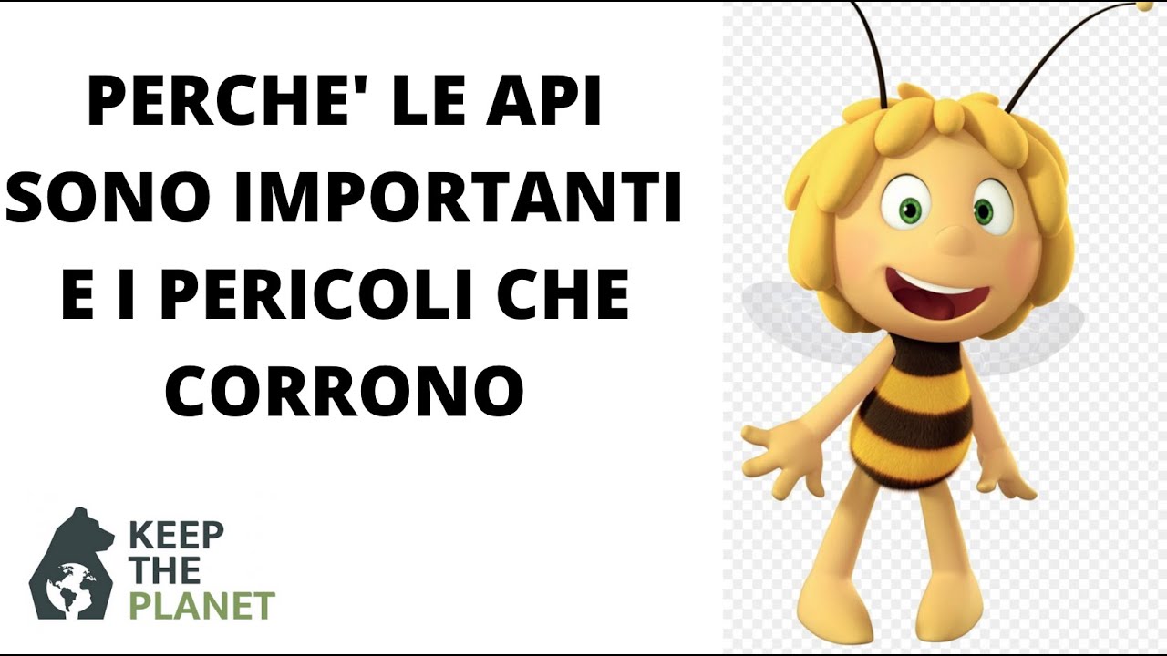(EP.17) 🐝SALVIAMO LE API, perché sono importanti