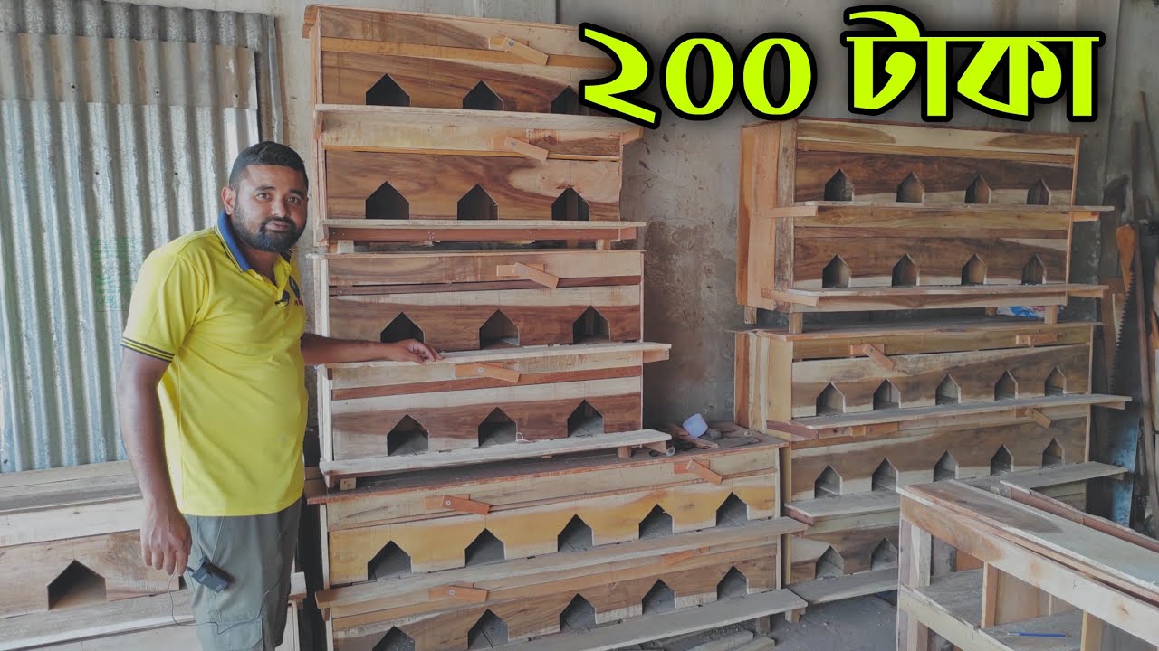 ঢাকায় ২০০ টাকায় কবুতরের খোপ