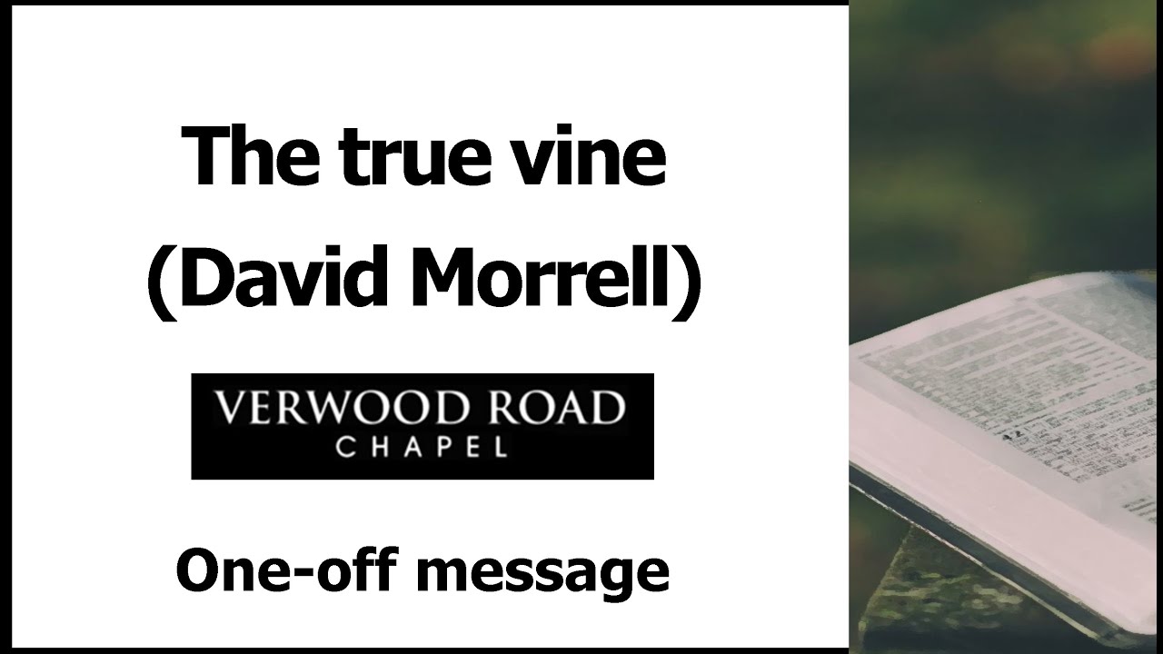 John 15 - the true vine