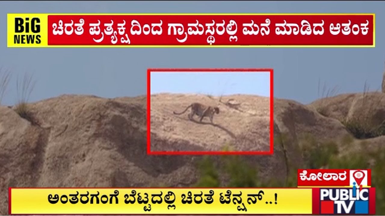 Leopard Spotted On Antaragange Hills In Kolar | Public TV