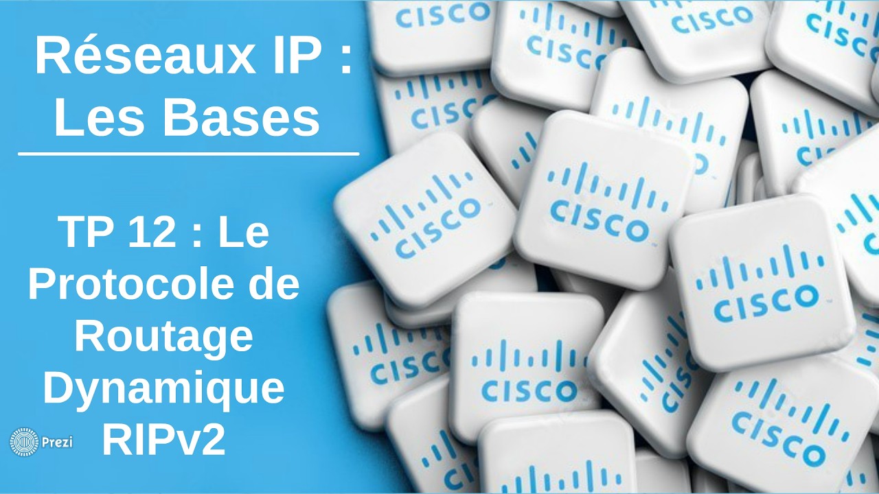 Réseaux IP : Les Bases 🌐 - TP 12 : Le Protocole de Routage Dynamique RIPv2 - L2 GTR