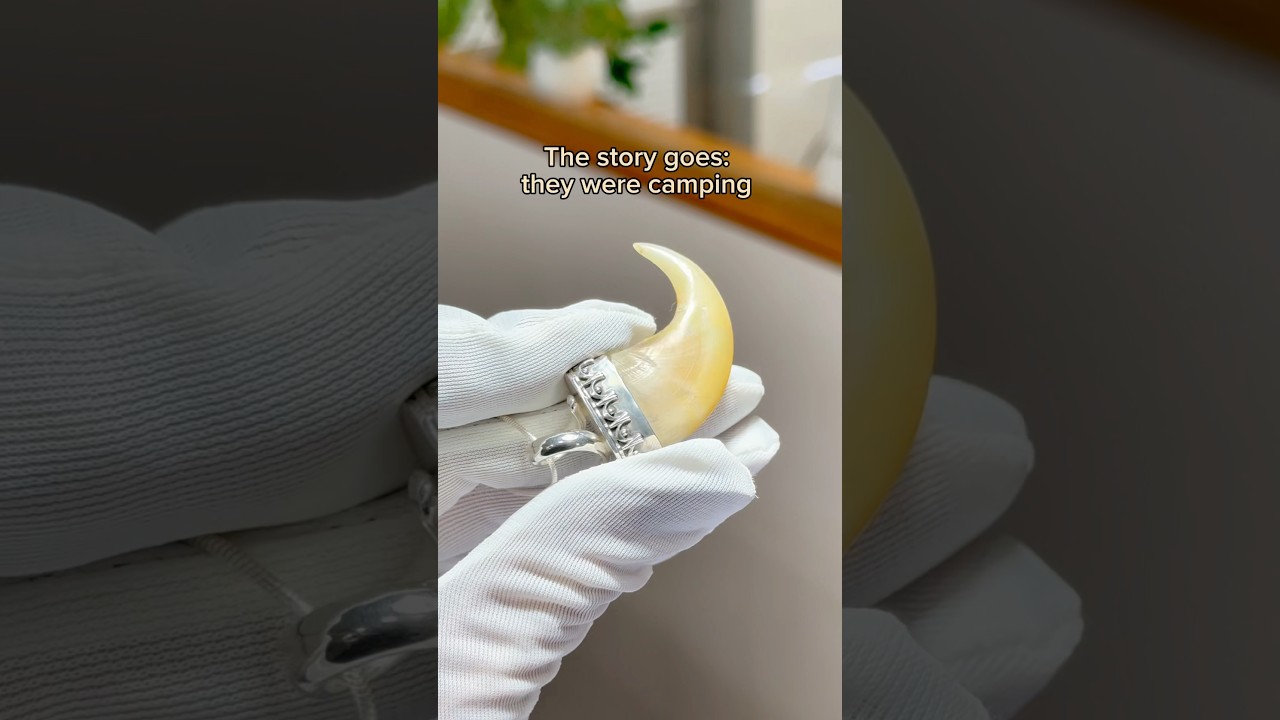 Bear claw necklace 🐻📿