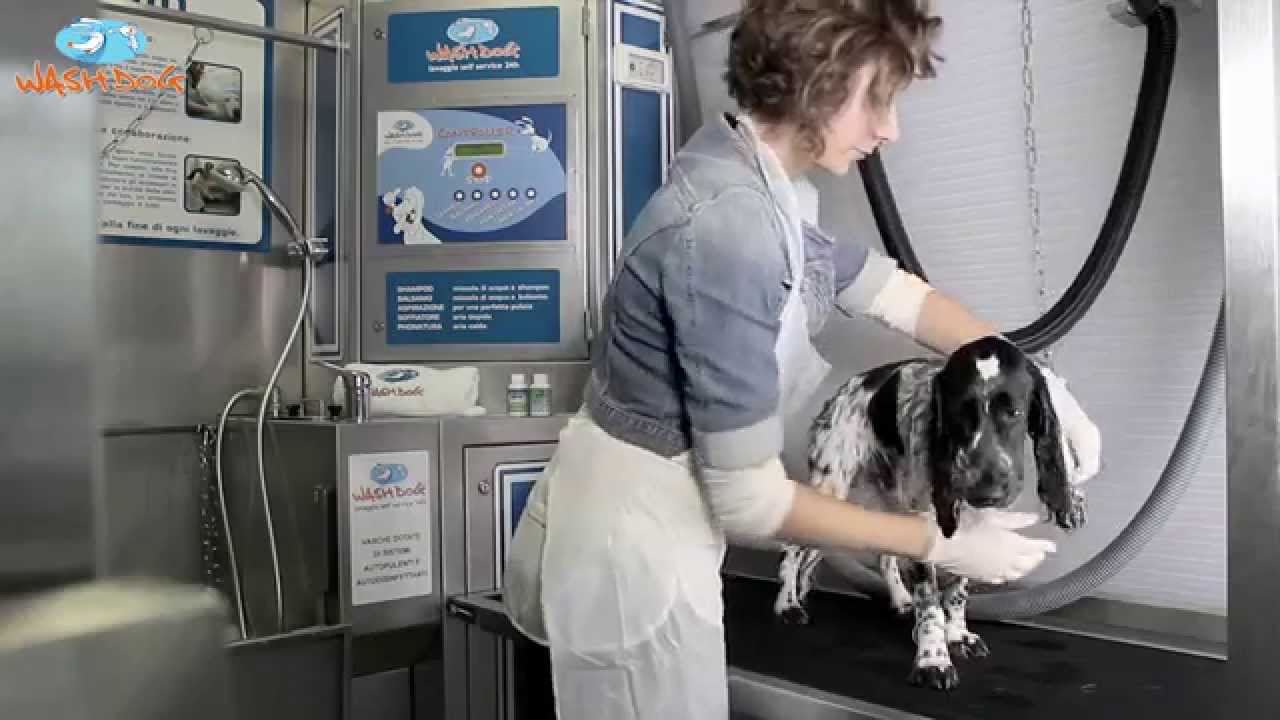 il Bagno - Wash Dog