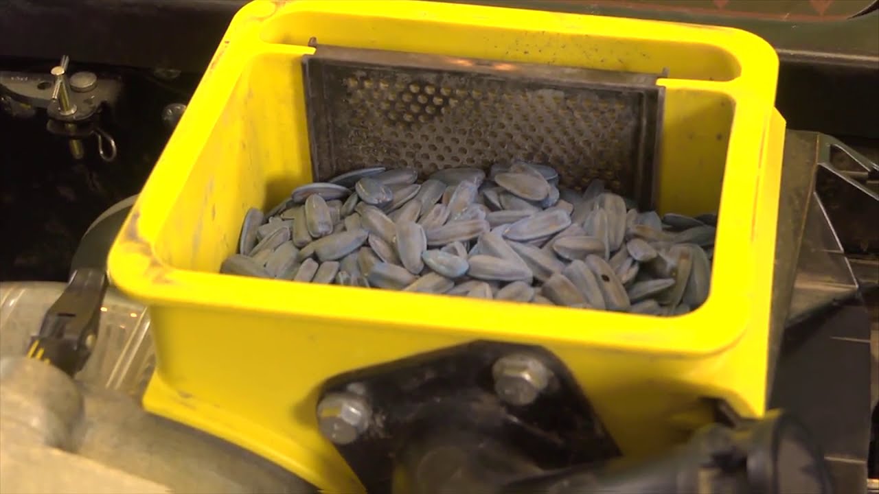 Nuseed U.S. & Canada - Planting Sunflower Seeds with John Deere Pro Series Meter