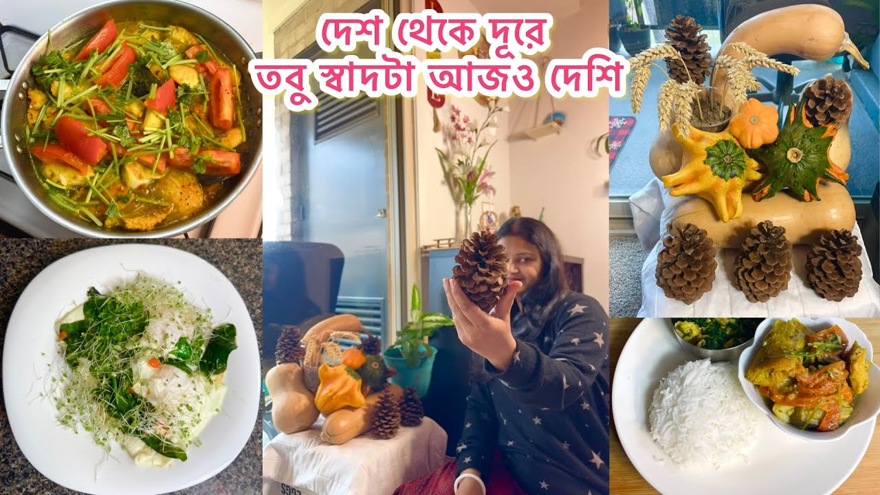 বদলেছে ঠিকানা,বদলায়নি স্বাদ।দেশ থেকে দূরে,তবু স্বাদটা আজও দেশি/রান্ন করলাম দুটি প্রিয় রেসিপি/vlog