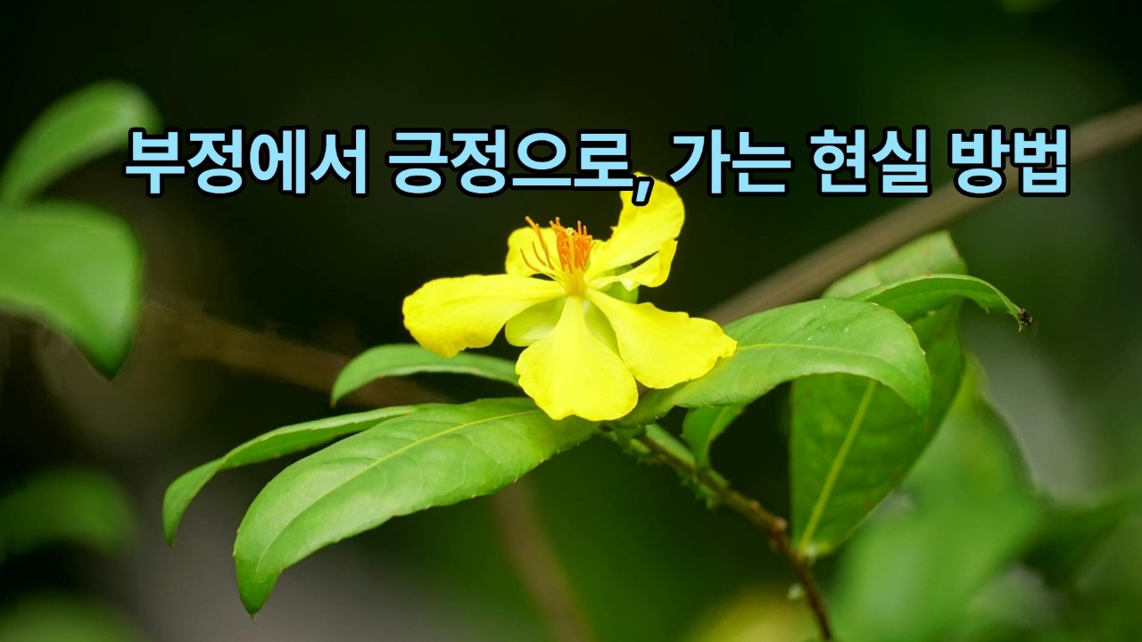 부정적 생각은 어디서 부터 시작되는가 !