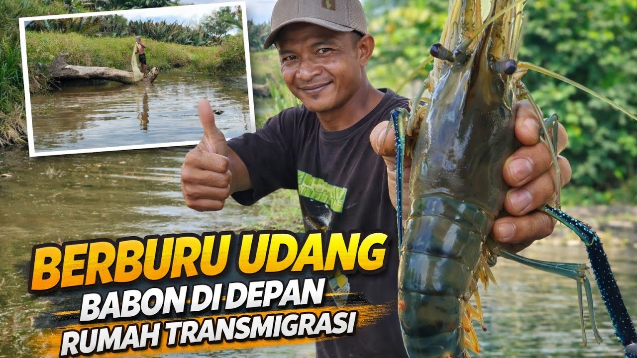 BERBURU UDANG BABON DI PARIT SEKITAR LOKASI TRANSMIGRASI KALIMANTAN