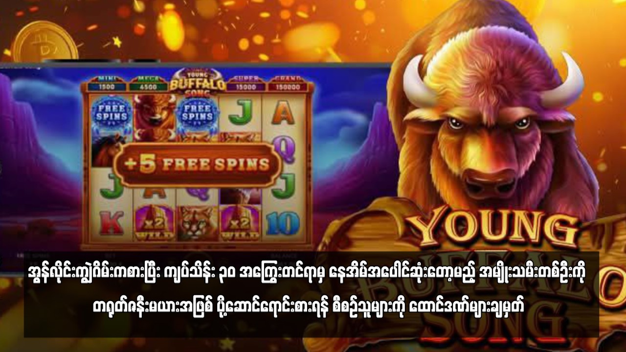 အွန်လိုင်းကျွဲဂိမ်းကစားပြီး ကျပ်သိန်း ၃၀ အကြွေးတင်ရာမှ နေအိမ်အပေါင်ဆုံးတော့မည့် ...