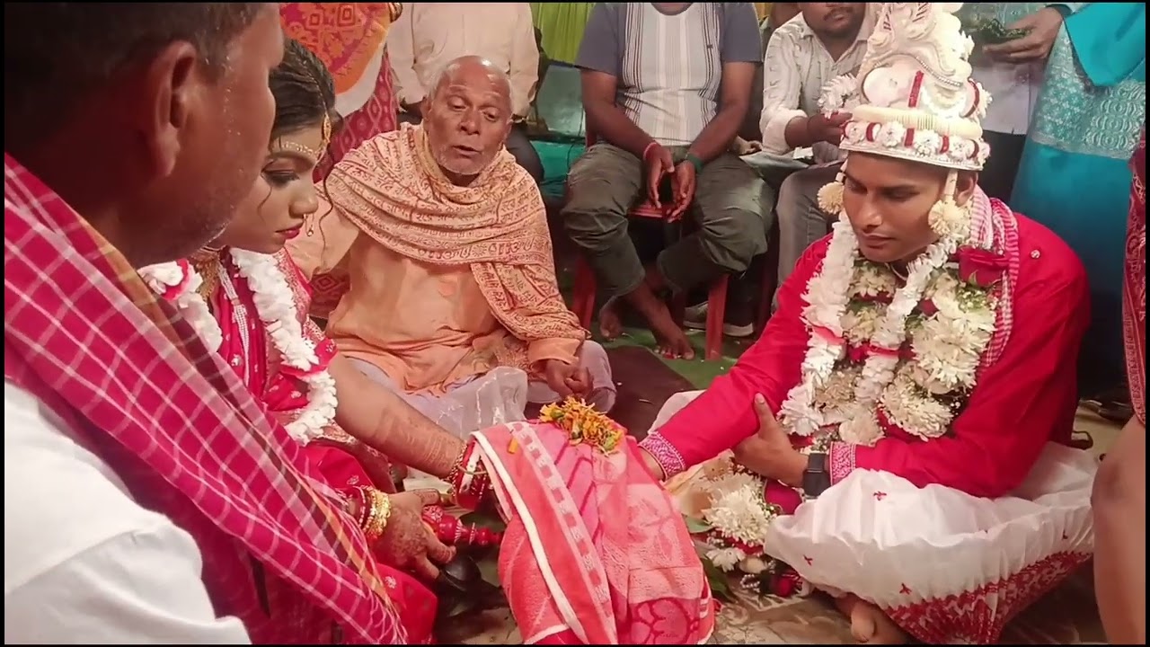 #shortvideo @highdiverfly 🌹🌹 দিচ্ছে দিচ্ছে 🌹