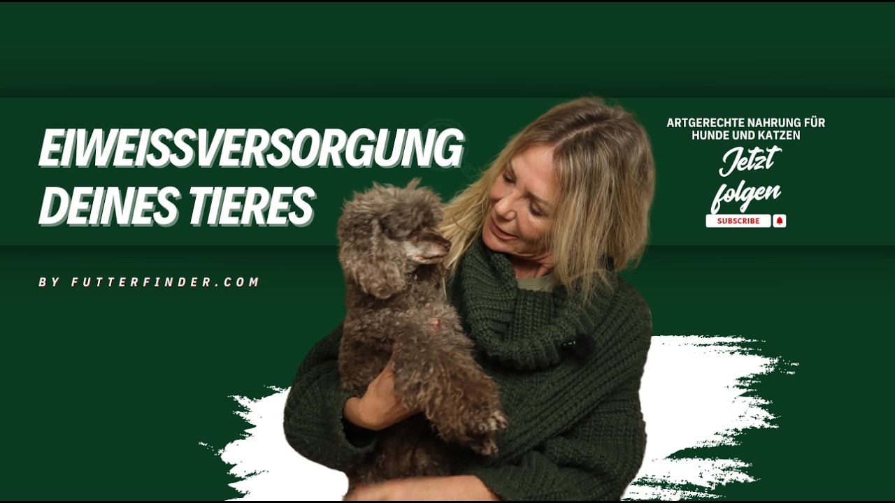 🐾 Eiweißversorgung von Hunden und Katzen