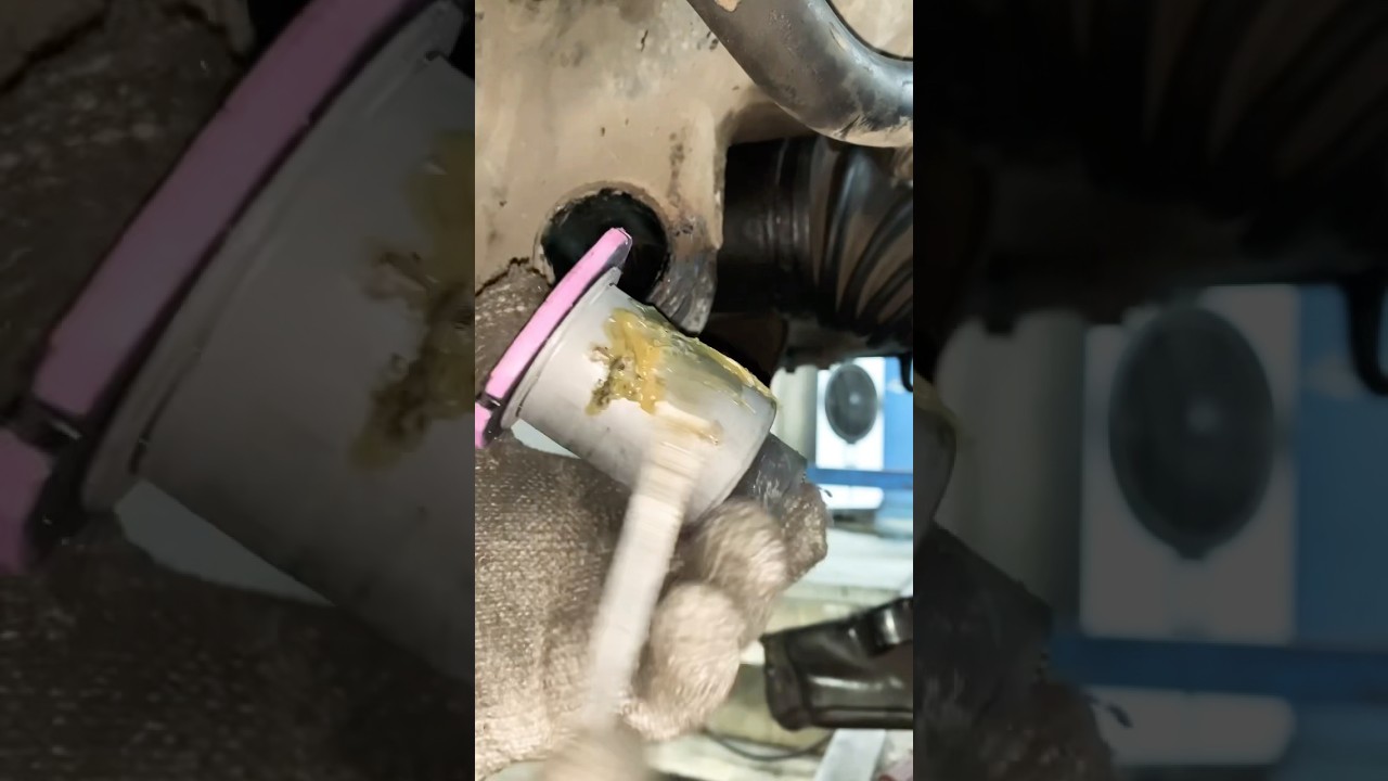 suspension subframe bushing replace #mechanic #tipsandtricks #tips #suspension #bushing #shorts