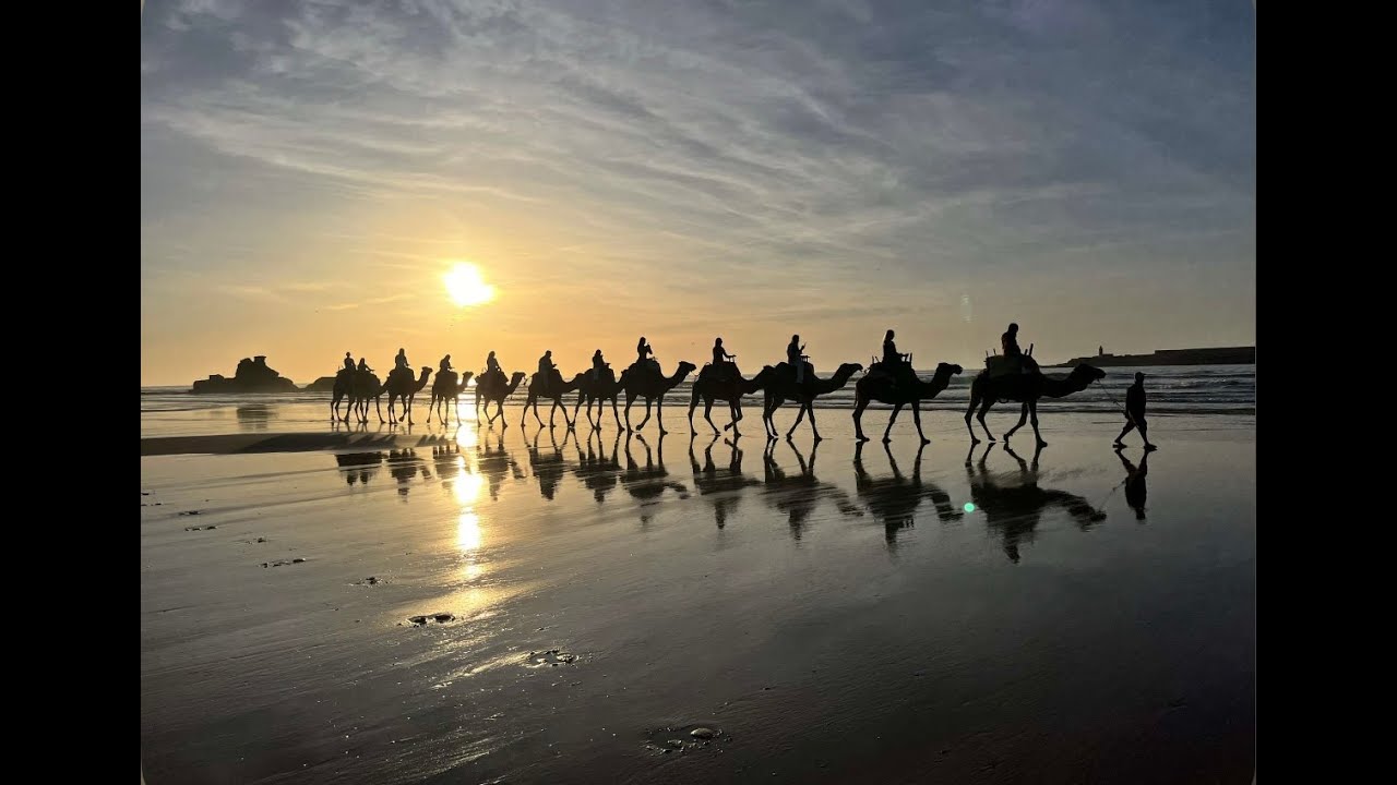 Things we did in Essouira and Marrakesh pt2