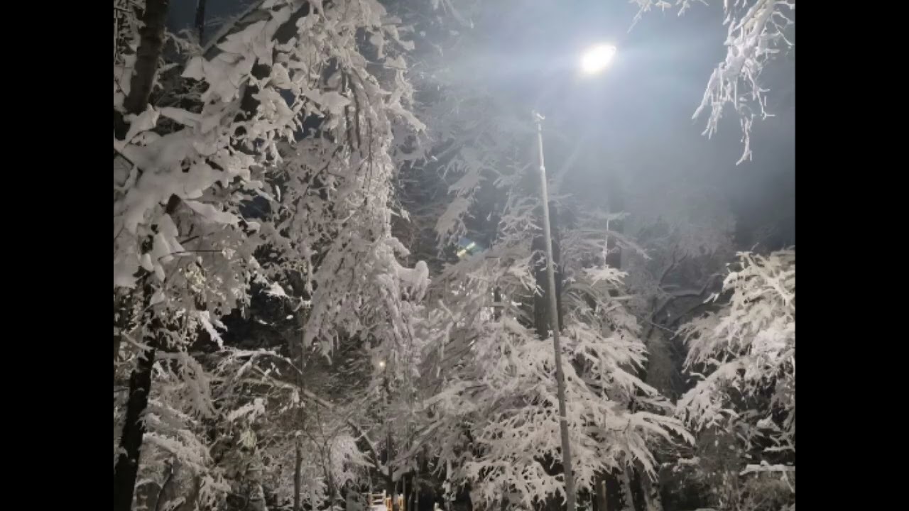 18.01.2026ж. Абзал 