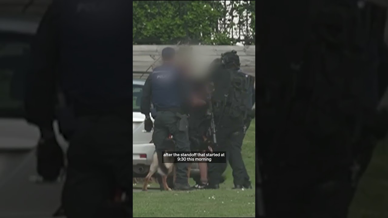 Loud bangs, gas as man arrested after police officer shot in Auckland's Flat Bush | RNZ