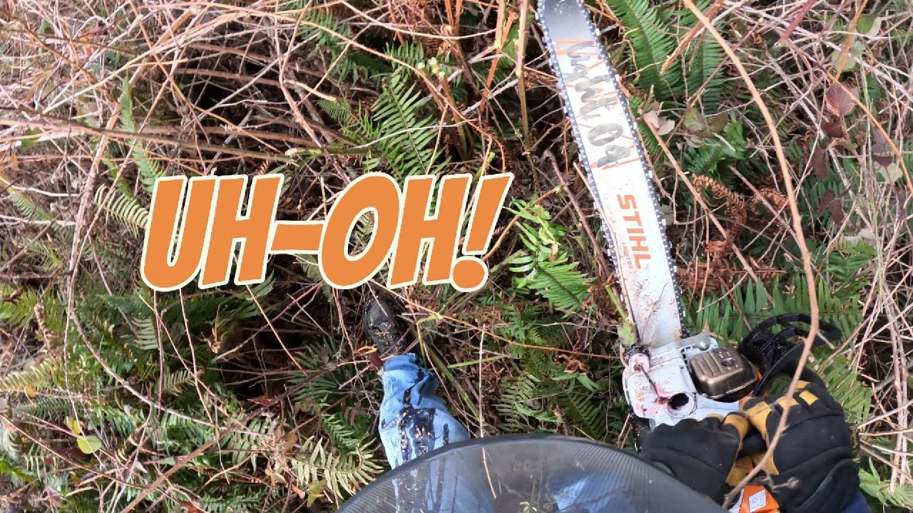 Stihl Tool Free Tank Caps  - Friend or Foe?