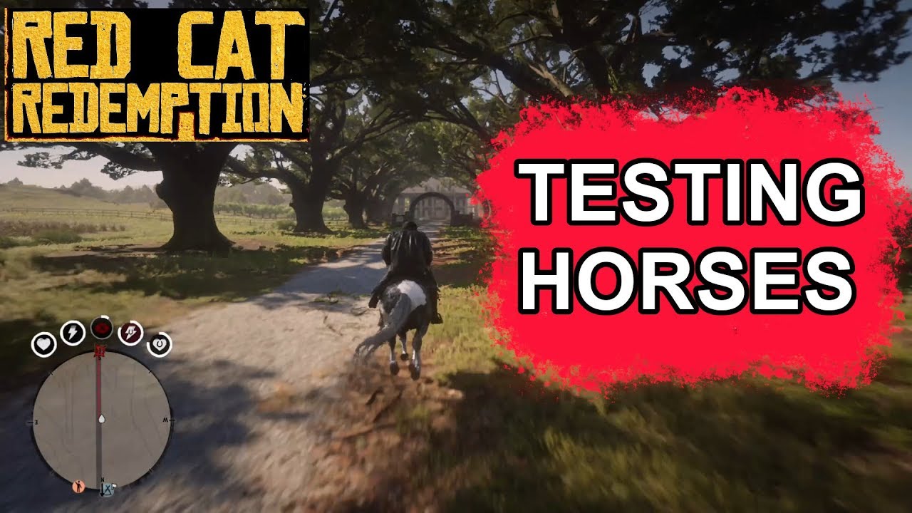 Testing horses in RDR2 online: Fox Trotter