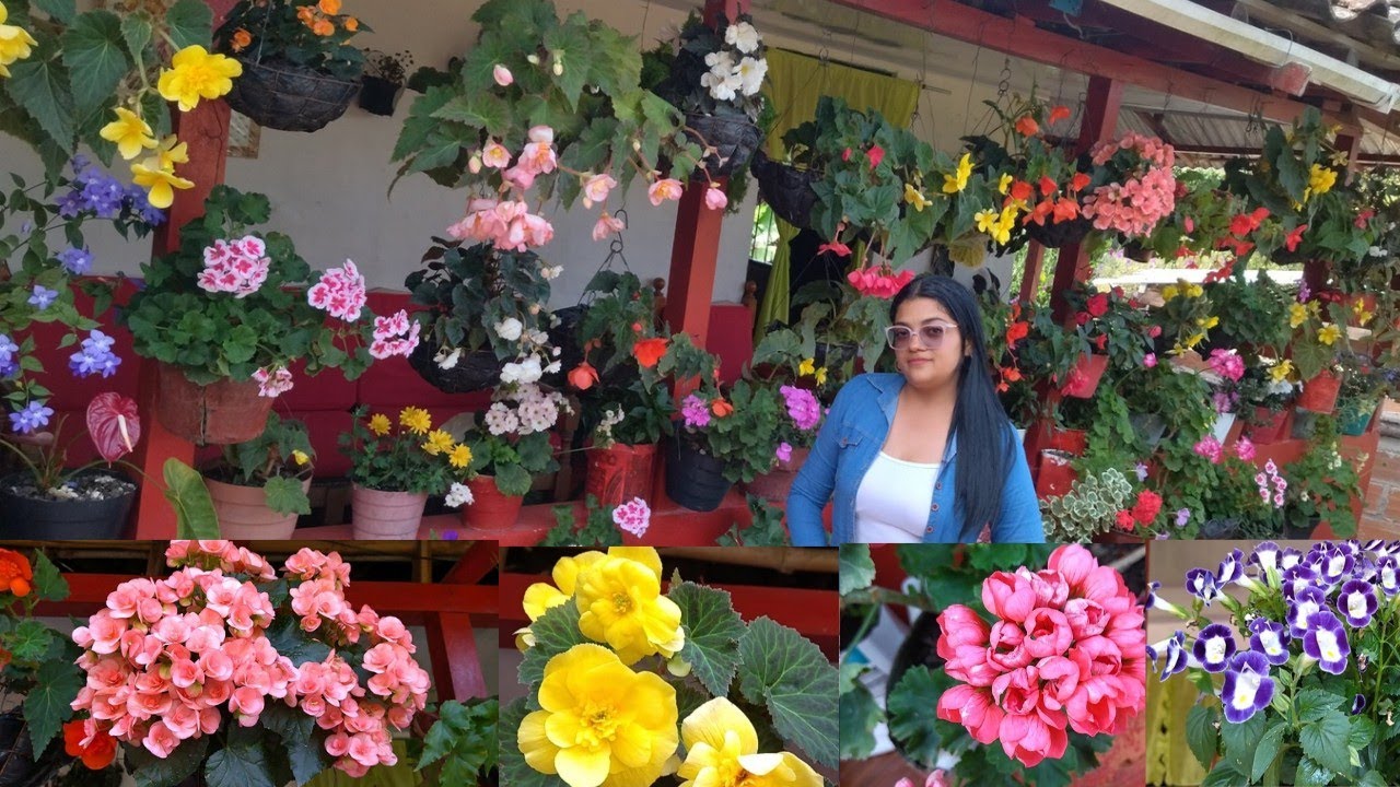 LES PRESENTO EL HERMOSO JARDIN DE DOÑA GLORIA😲😍