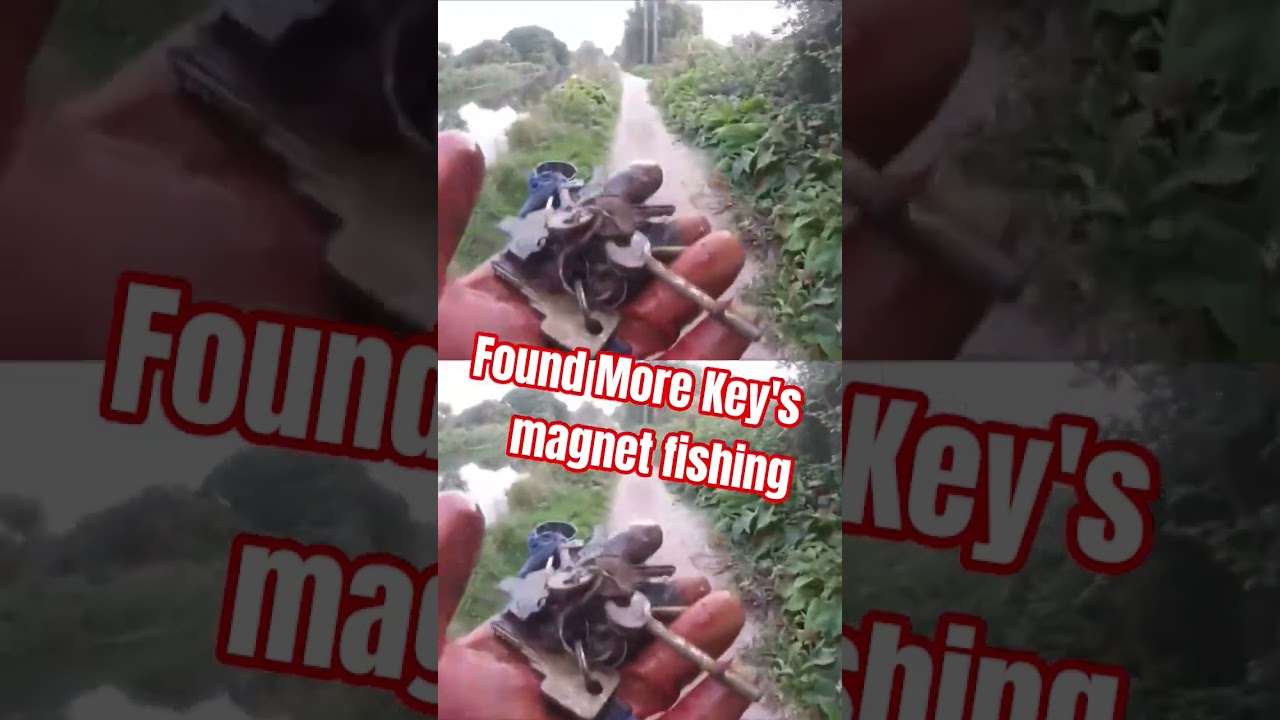 Crazy Magnet Fishing Finds in the Canal!