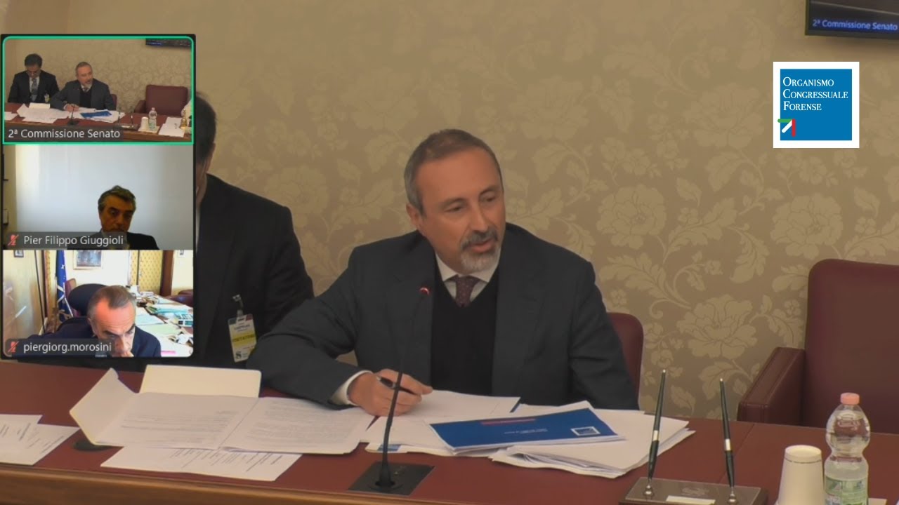 WebTv OCF | Audizione in Senato sul DL Giustizia  - 12/12/24 - L'intervento di Mario Scialla