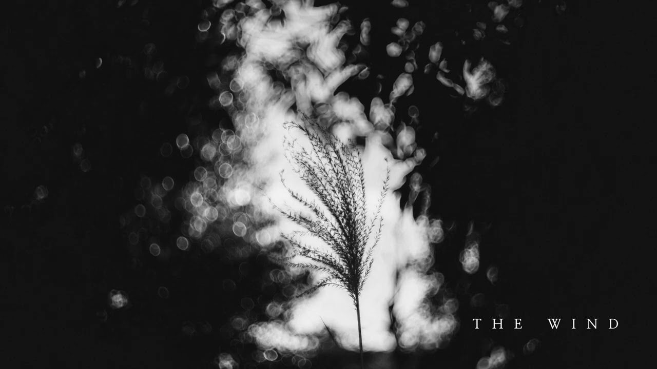 THE WIND