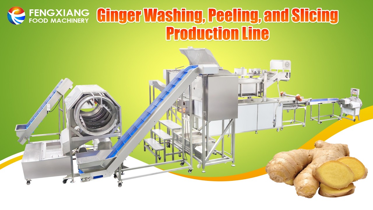 Industrial Ginger Washing Peeling Slicing Line | Turmeric Processing 🌿 #GingerMachine