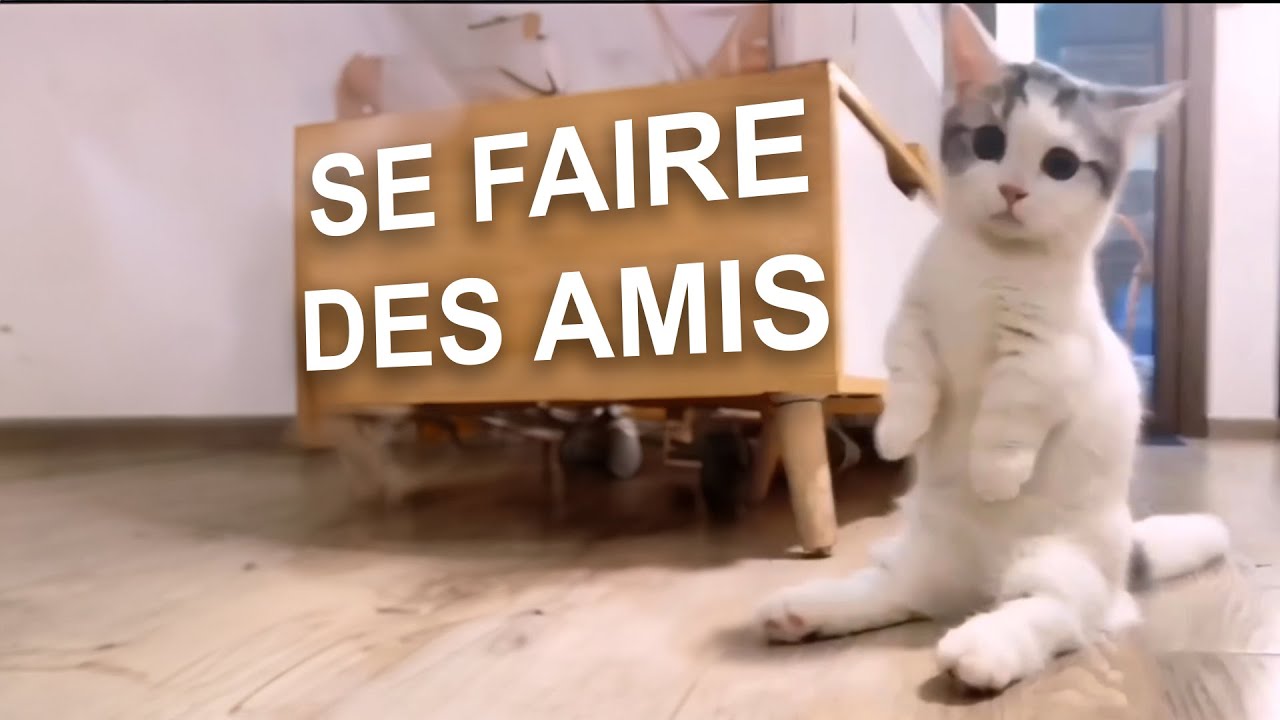 CONSEILS POUR SE FAIRE DES AMIS