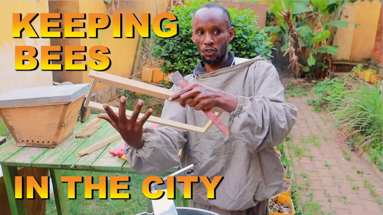 Keeping Bees In The City | Simple Steps To A Successful Urban Beekeeping Business