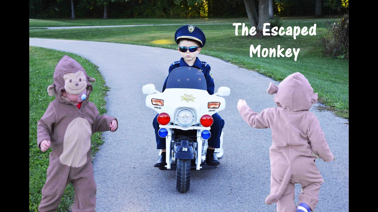 Little Heroes Look for Adorable Pretend Play Monkey