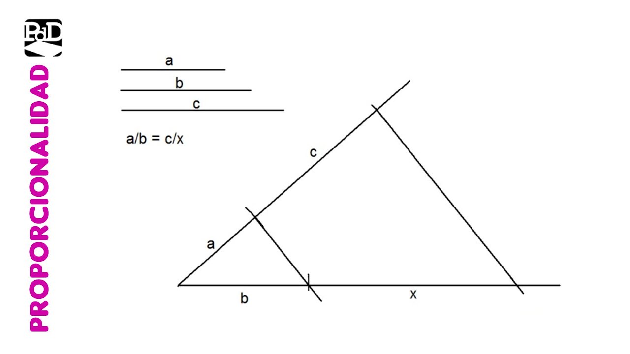 Hallar el segmento cuarto proporcional a otros tres: a/b = c/x (Proporcionalidad).