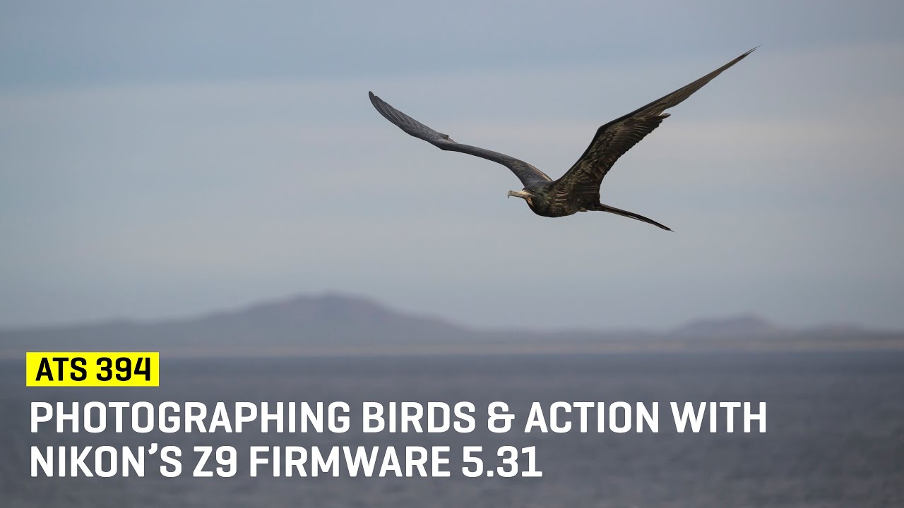 Фотографирование птиц и динамичных сцен с помощью прошивки Nikon Z9 версии 5.31 (ATS 394)