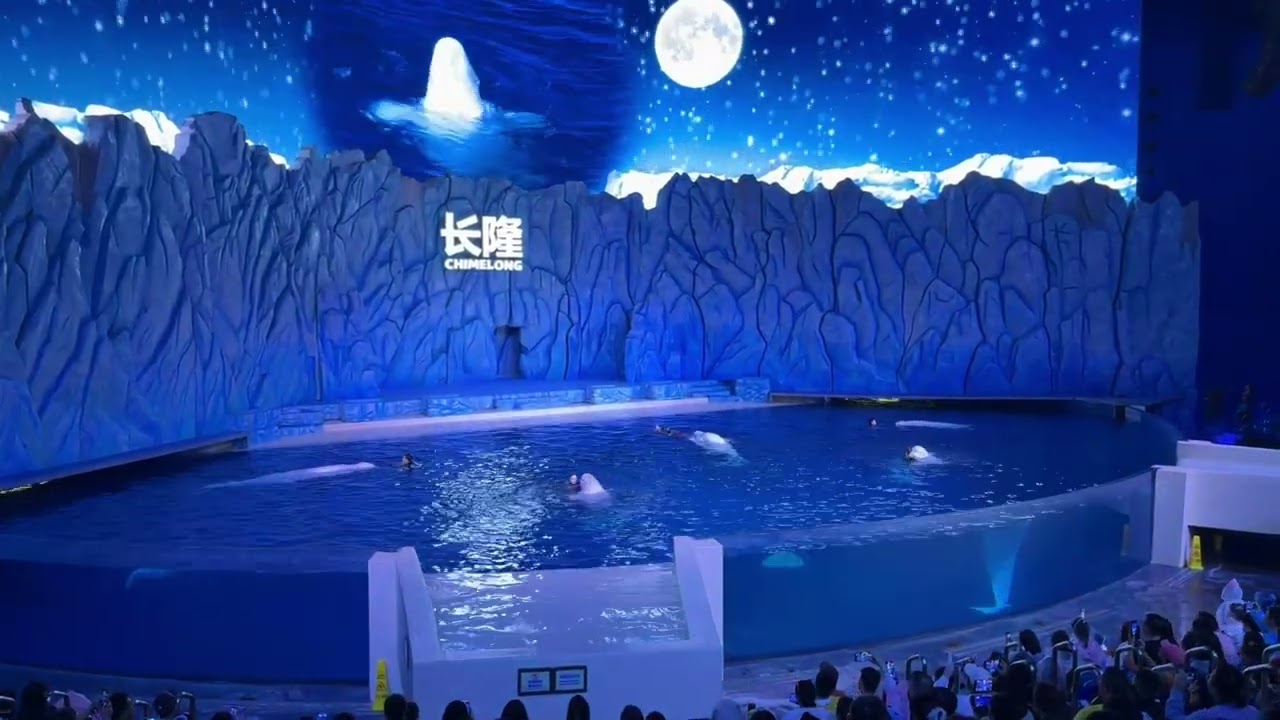 珠海長隆海洋王國。白鯨劇場