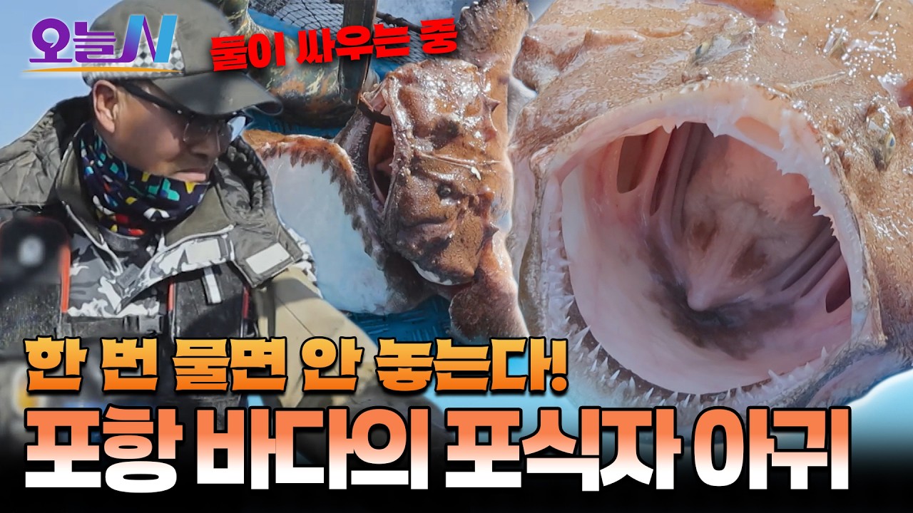 못생겨서 버리던 아귀의 대반전! 아귀 맑은탕 & 아귀 수육ㅣ오늘N