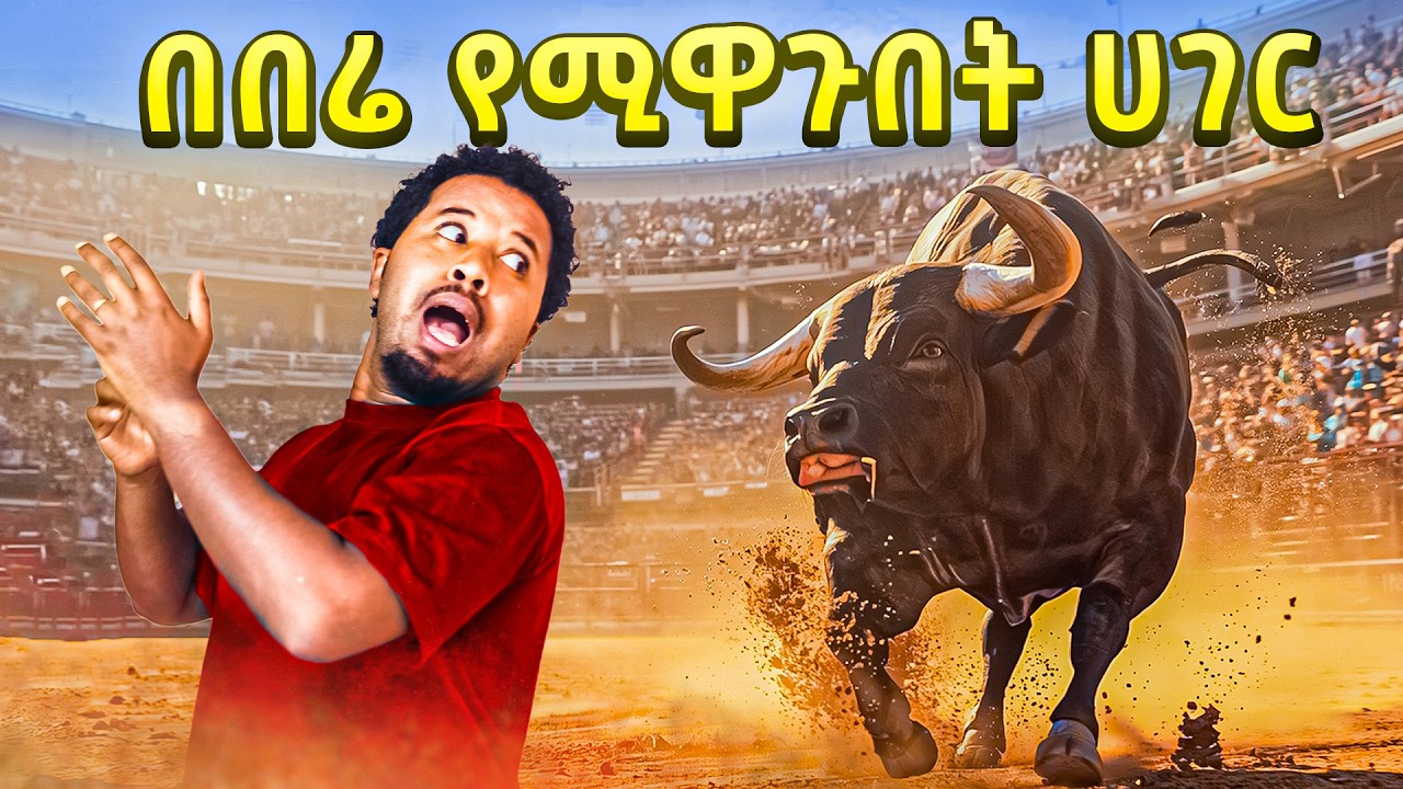 በበሬ የሚዋጉበት ሀገር Abel Birhanu