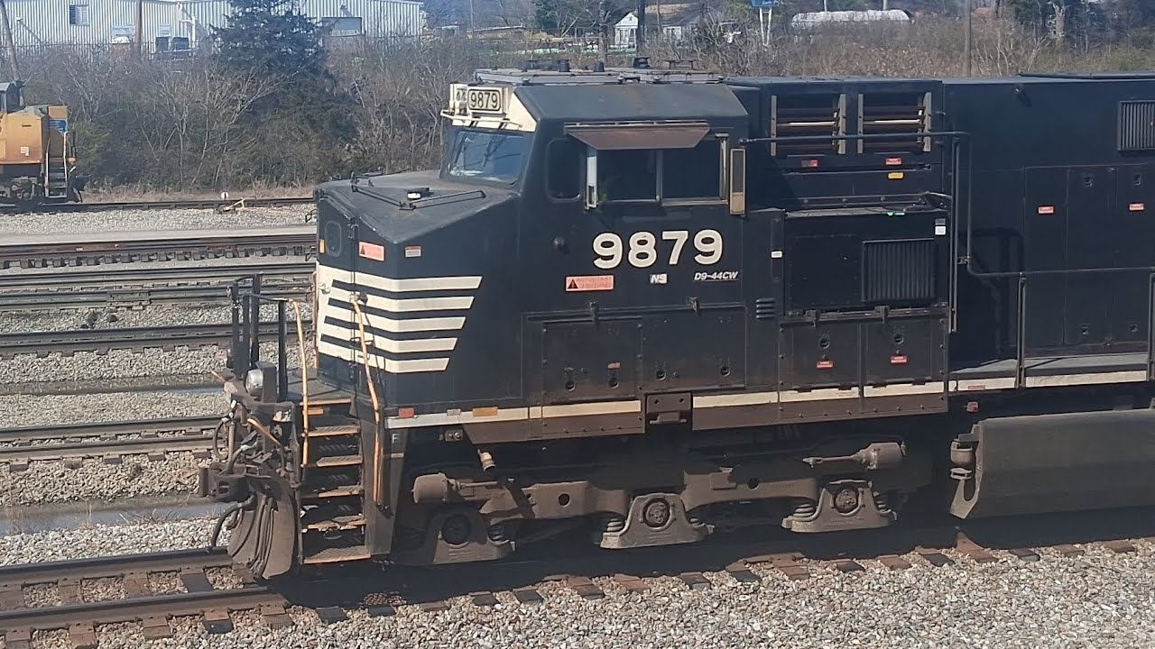 Ns 9879 leads mixed