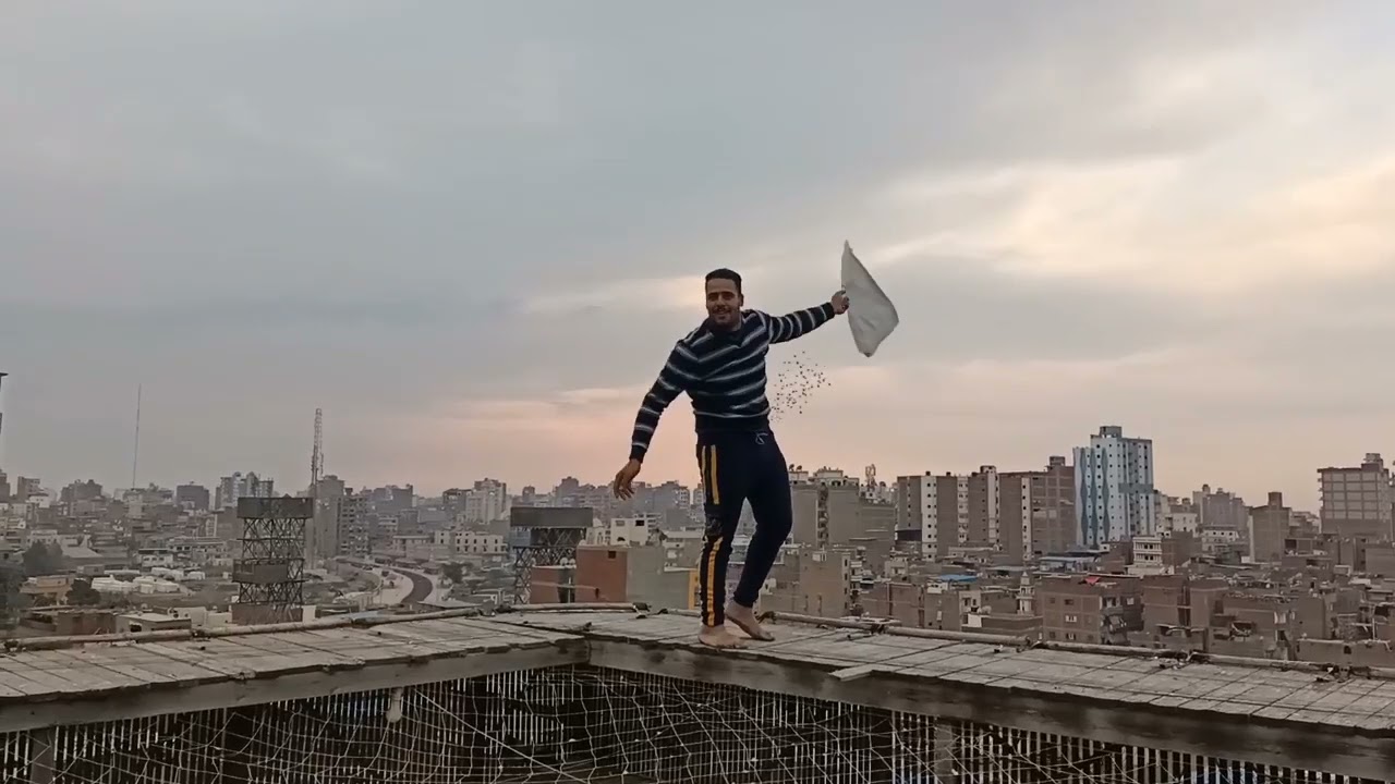 رمى140 حمامه أوله  في التماسي عند عم محمد هلال،،،العناني،،،