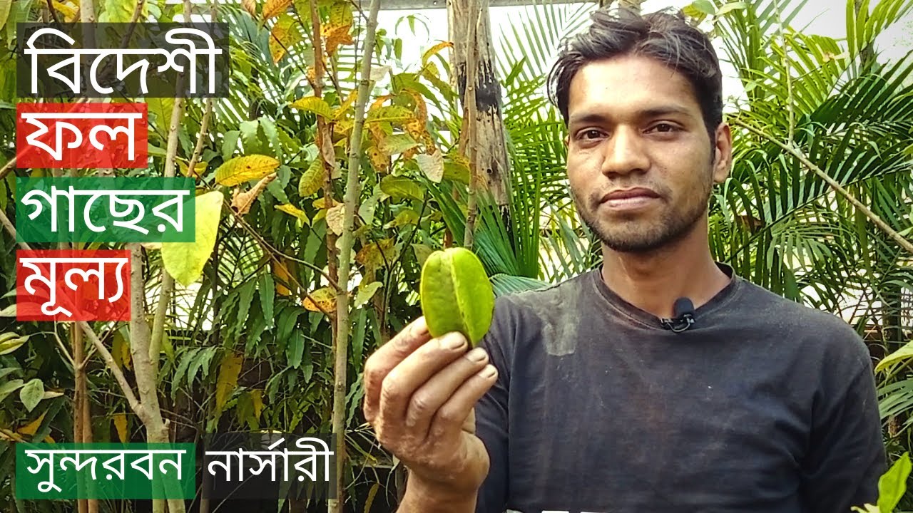 Foreign Fruit Tree Price In Sundarban Nursery | বিদেশী ফল গাছের মূল্য | Gardening Bangladesh