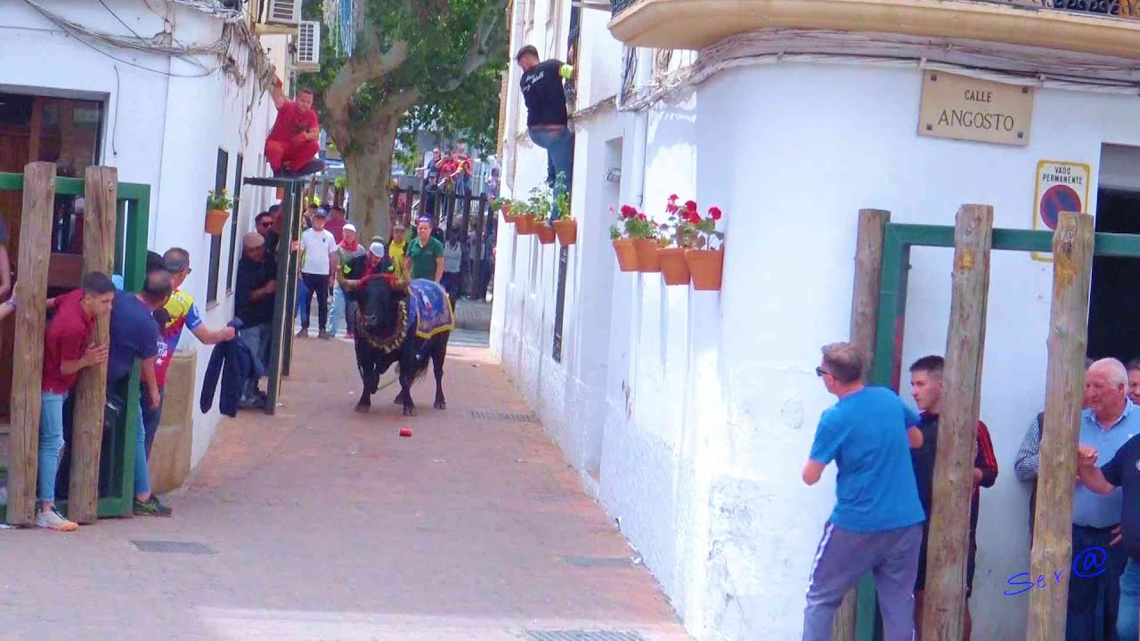 🟢2024 Beas de Segura  22 INTEGRO San Marcos