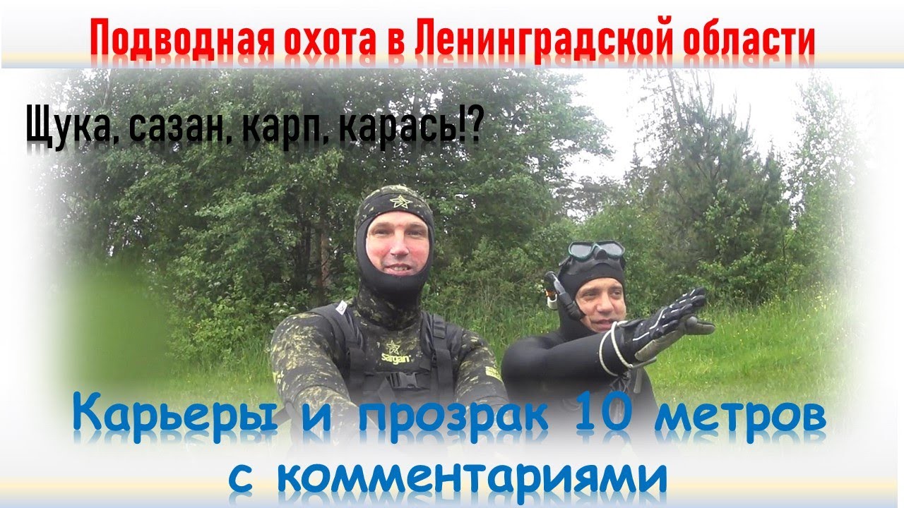 🐳🐟Подводная охота в Ленинградской области#карьеры#сазан#щука