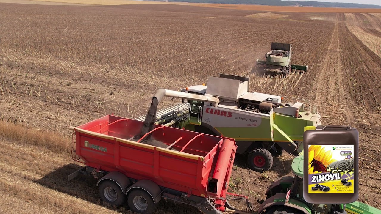 Зиновий Ойл - жътва на слънчоглед в с. Сливак