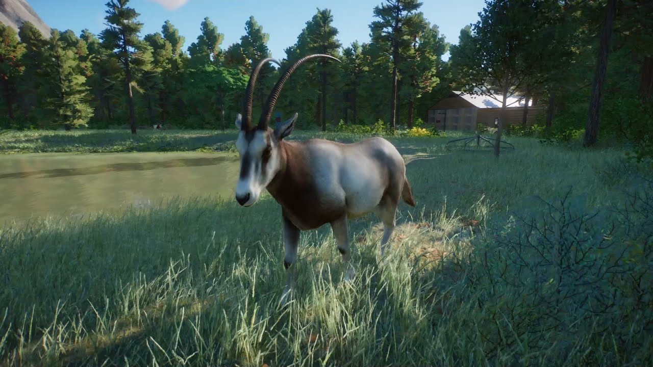 Planet Zoo (PC)(English) #132 8 Minutes of Scimitar-horned Oryx (Conservation Pack DLC)