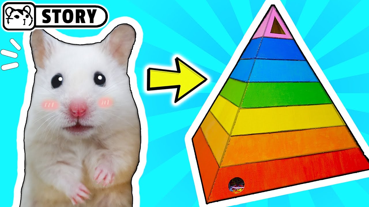 Радужная пирамида лабиринт для хомяка 🐹 Хомура Хам