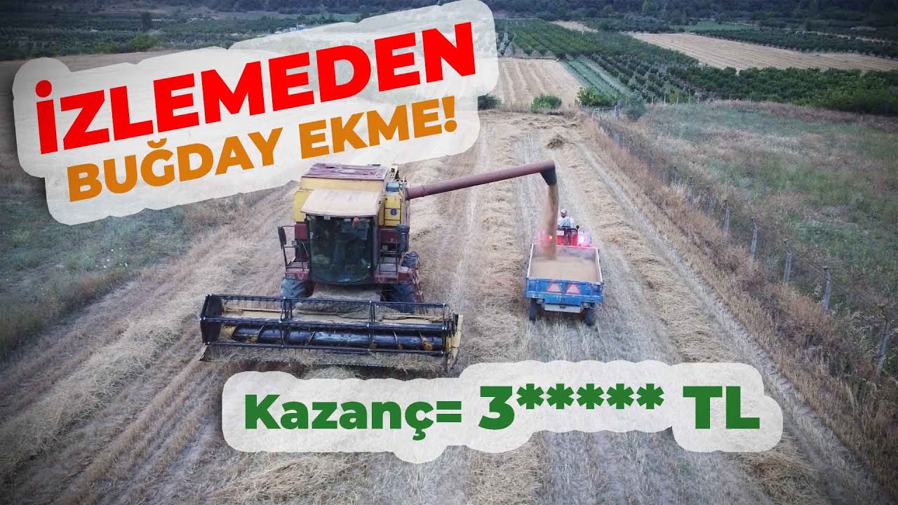 Buğday Ekmeden MUHAKKAK izle! - Buğday Masraf ve Kazan&ccedil;ları