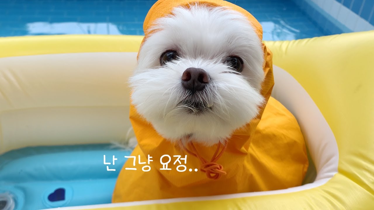 우리 중에 날씨요정은 없었다.