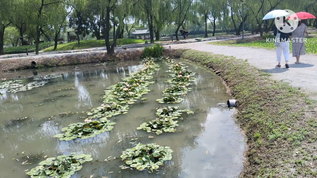 부여 여행중에 하모니카.Am키