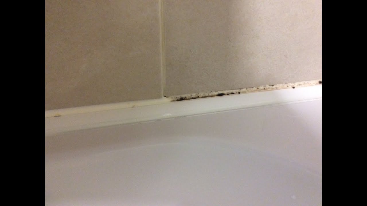 How To Remove Mold Mould From Silicone Sealant In Bathroom Shower