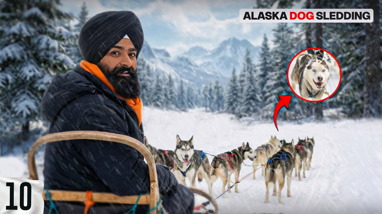 ਅਮਰੀਕਾ🇺🇸 ਚ ਕੁੱਤਿਆਂ ਦੀ ਸਵਾਰੀ Dog Sledding in America🐶