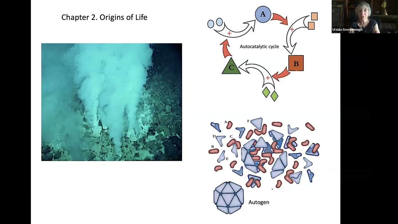 Taking Nature to Heart: The Religious Naturalist Orientation