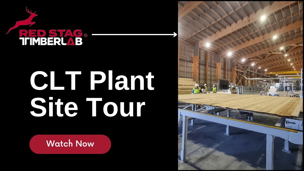 Largest CLT Plant in NZ | Red Stag TimberLab