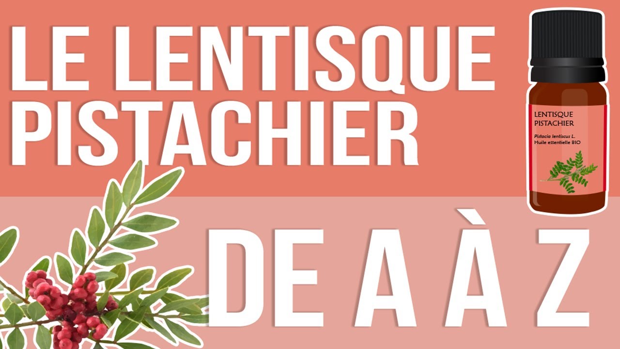 [HUILES ESSENTIELLES] À la découverte du Lentisque Pistachier