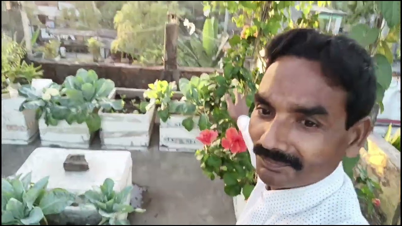 বিনা খরচে জৈব ছাদ বাগানের সফল আইডিয়া || টাকা বাচাঁন || সময় বাচাঁন || প্রকৃতি বাচাঁন | নিজে বাচুঁন 